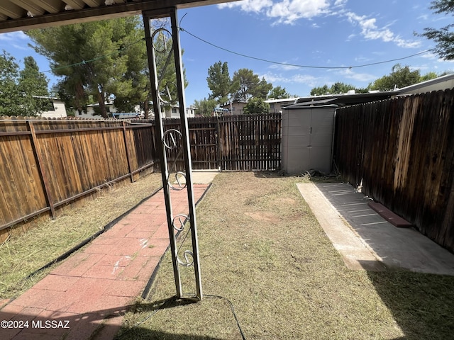 view of yard with a storage shed