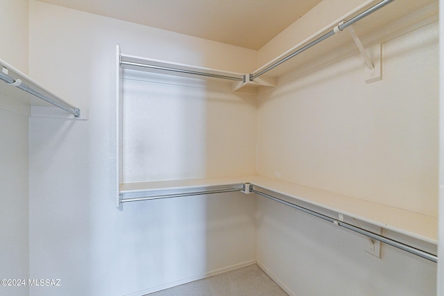 view of spacious closet