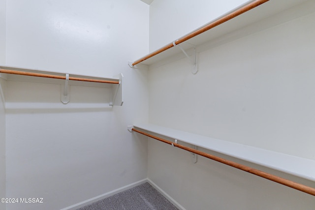 spacious closet with carpet floors