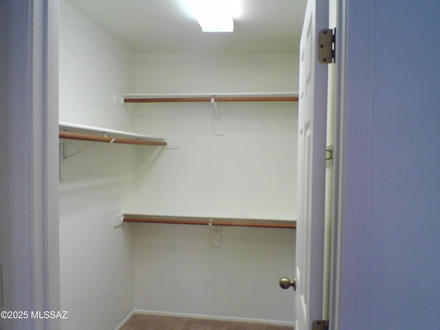 walk in closet with carpet flooring