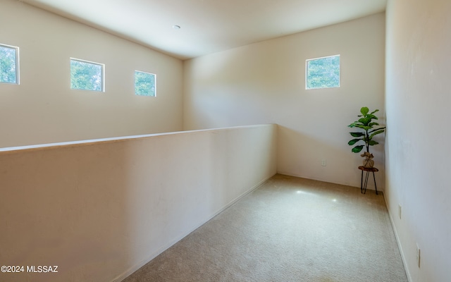 empty room featuring carpet floors and plenty of natural light