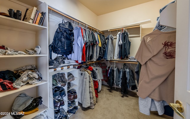 walk in closet featuring light carpet