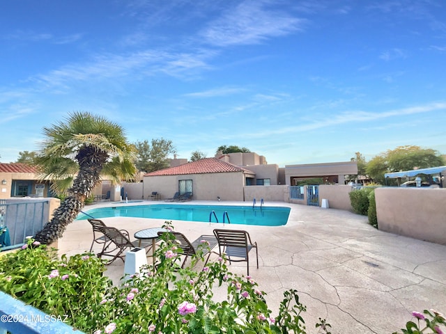 view of pool with a patio