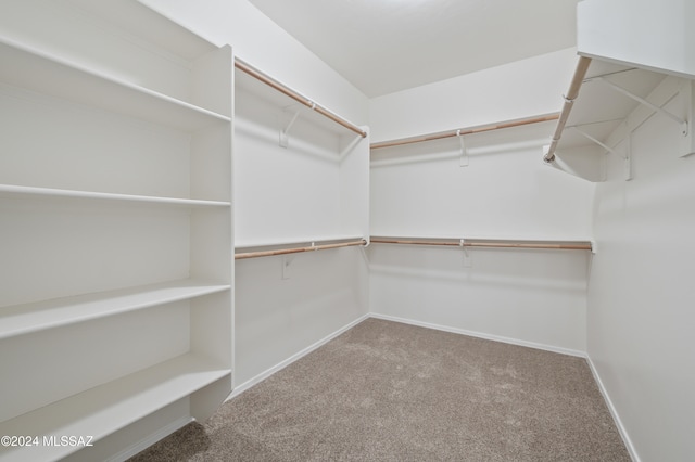 walk in closet featuring carpet floors