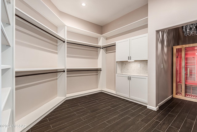 spacious closet with dark wood-type flooring