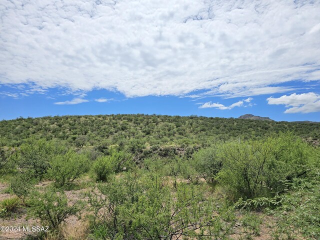 87 Alegria Rd, Tubac, AZ 85646