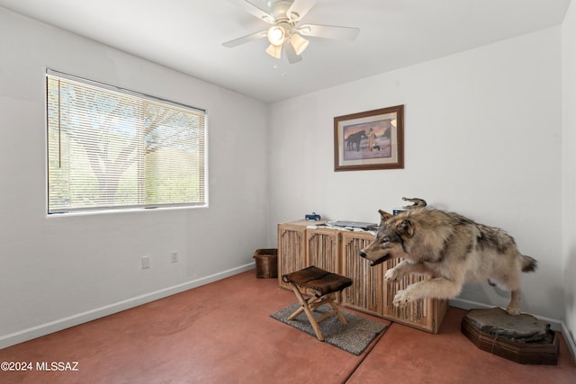 carpeted office with ceiling fan and baseboards