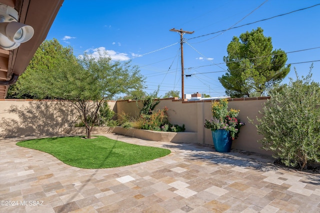 view of yard with a patio area