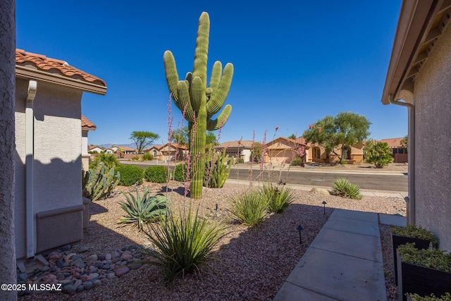 view of yard featuring a residential view