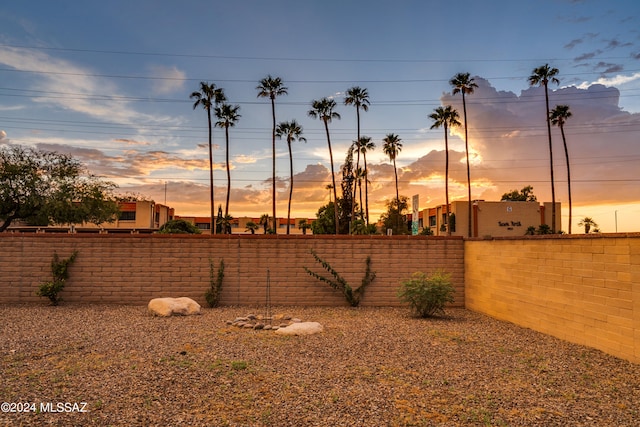 view of yard at dusk