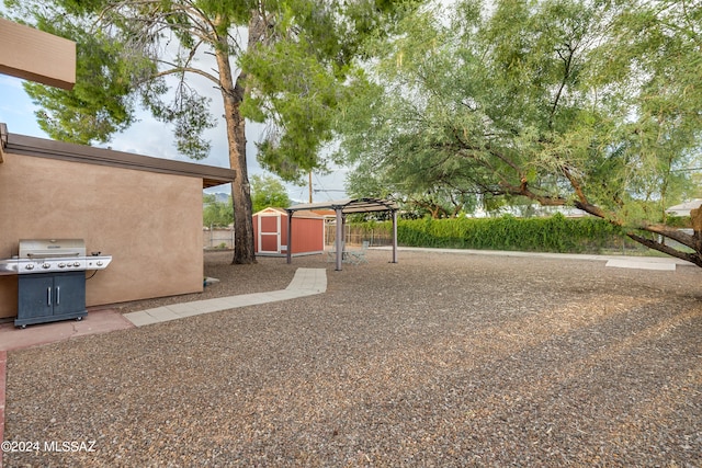 view of yard with a shed