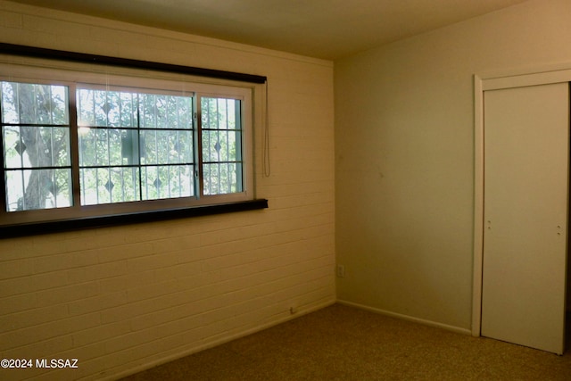 interior space featuring carpet flooring and a closet