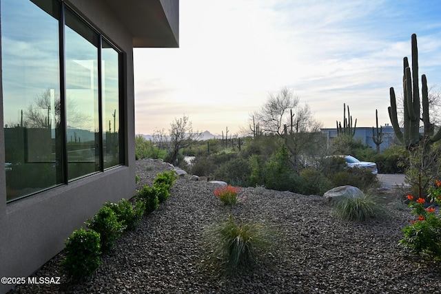 2155 E Desert Garden Dr, Tucson, AZ 85718 - view of yard