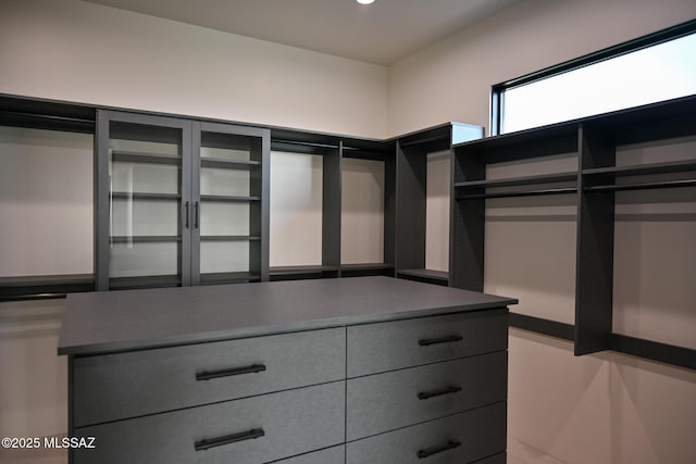 2155 E Desert Garden Dr, Tucson, AZ 85718 - view of spacious closet