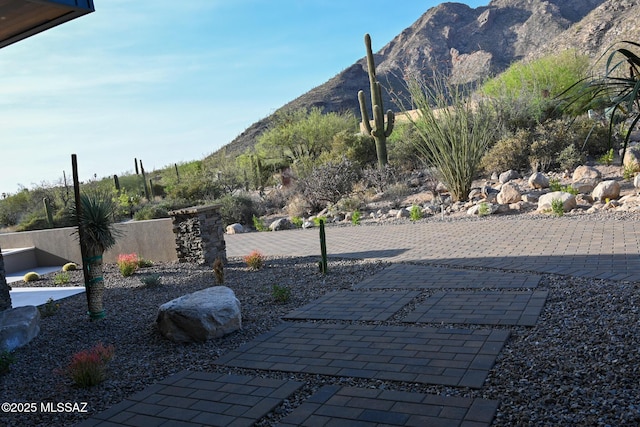 2155 E Desert Garden Dr, Tucson, AZ 85718 - exterior space