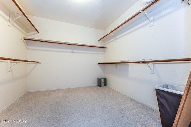 spacious closet with carpet