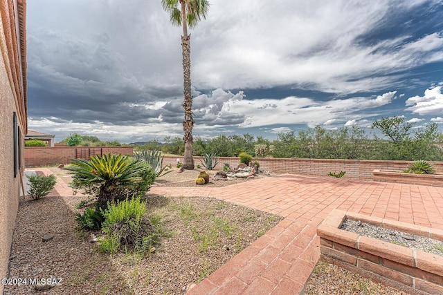 view of yard with fence and a patio