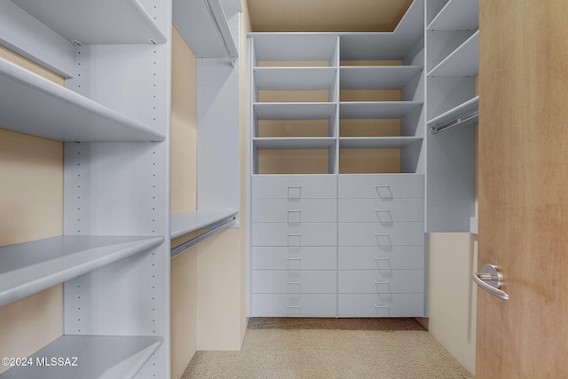 spacious closet with light carpet