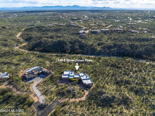 birds eye view of property featuring a mountain view