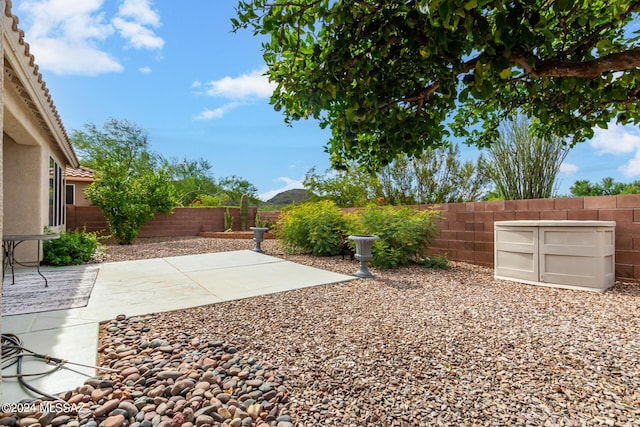 view of yard with a patio