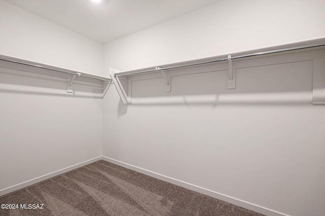 spacious closet with carpet