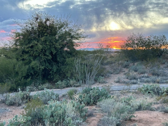 view of nature at dusk