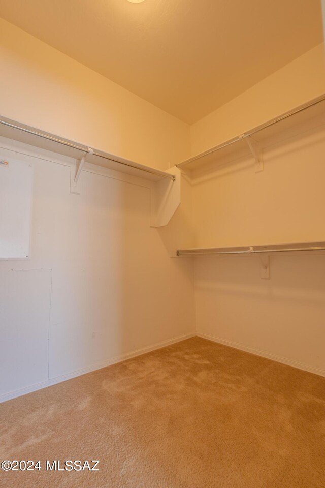 walk in closet featuring carpet flooring