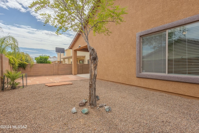 view of yard featuring a patio area