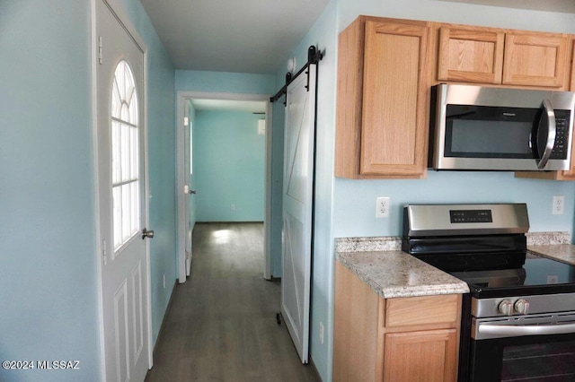 kitchen with a wealth of natural light, a barn door, wood finished floors, and appliances with stainless steel finishes