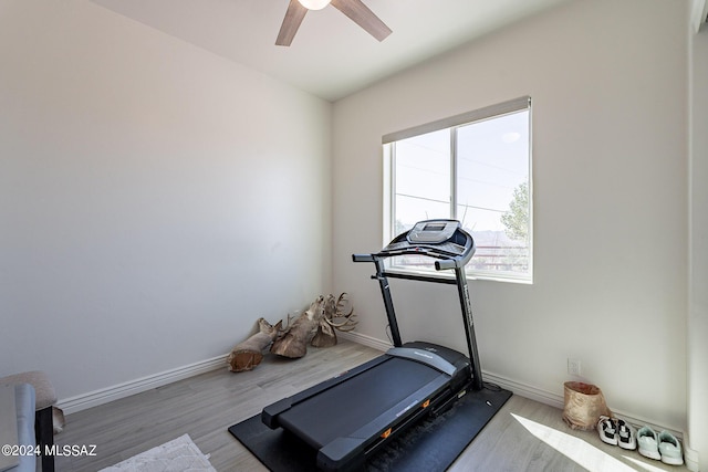 workout room with ceiling fan, baseboards, and wood finished floors