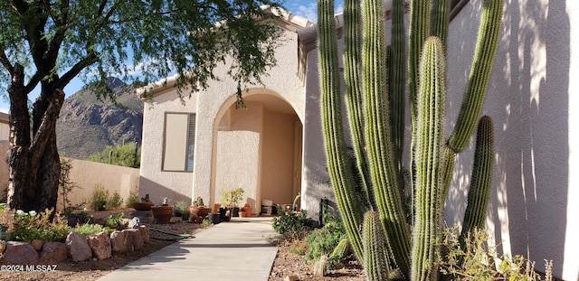 doorway to property featuring stucco siding