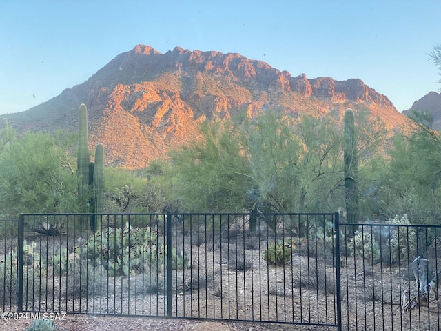 view of mountain feature