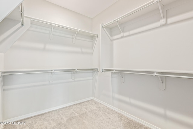 walk in closet featuring light carpet