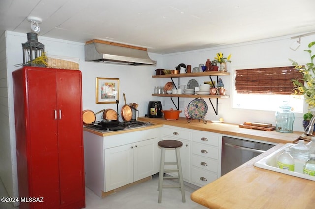 kitchen featuring white cabinetry, appliances with stainless steel finishes, and range hood
