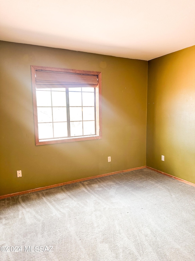 carpeted empty room featuring a wealth of natural light