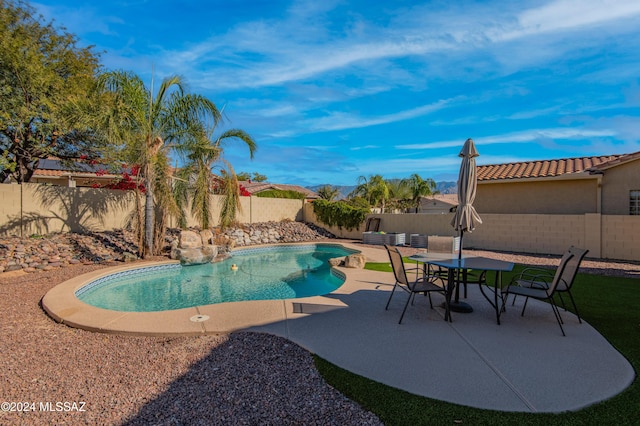 view of pool featuring a patio