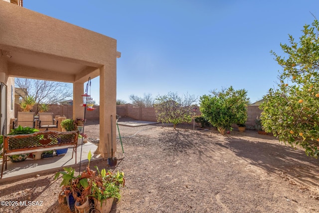 view of yard with a patio and a fenced backyard