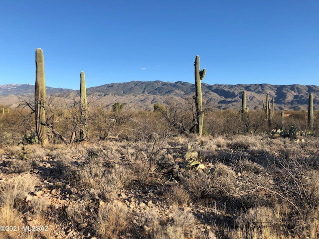 1974 N Wentworth Rd, Tucson AZ, 85749 land for sale