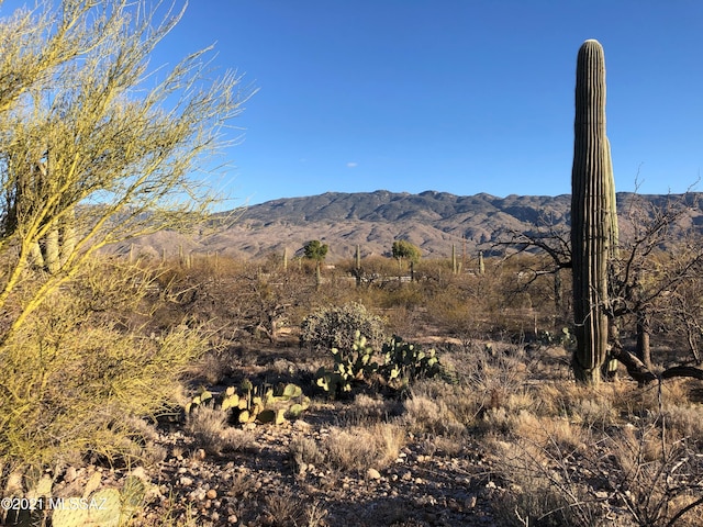 Listing photo 2 for 1974 N Wentworth Rd, Tucson AZ 85749