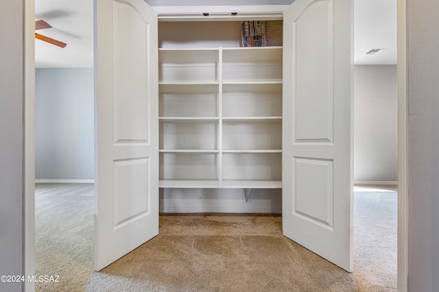 view of closet