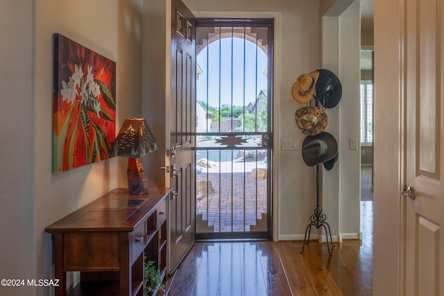 entryway featuring wood-type flooring