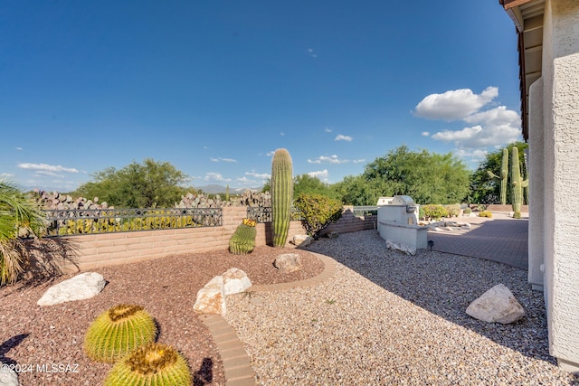 view of yard with an outdoor kitchen and a fenced backyard