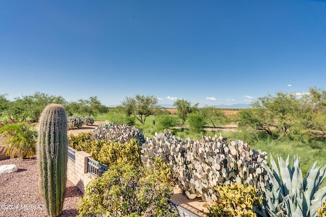 view of yard with fence and a rural view