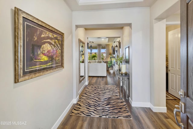 hall featuring dark wood-type flooring