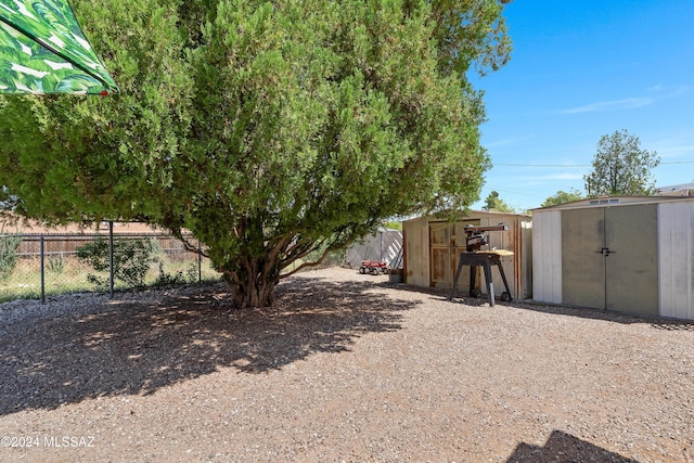 view of yard with a storage unit