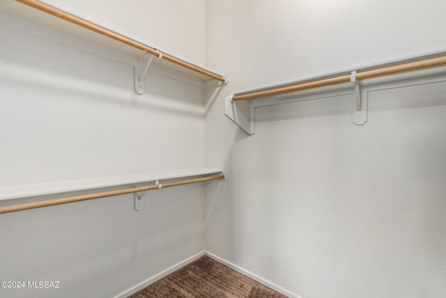 walk in closet featuring carpet floors