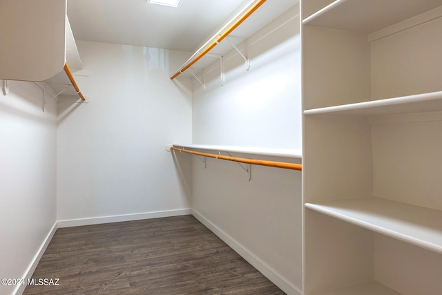 spacious closet featuring dark hardwood / wood-style floors