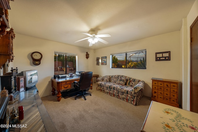 home office with ceiling fan and carpet floors