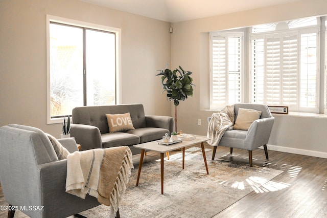 living room featuring hardwood / wood-style flooring and a healthy amount of sunlight