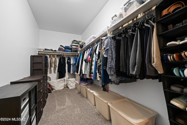 spacious closet featuring carpet floors